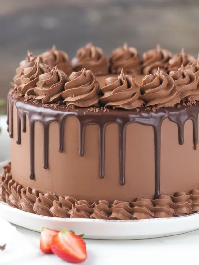 Decorated Chocolate Cake with chocolate frosting and colorful sprinkles